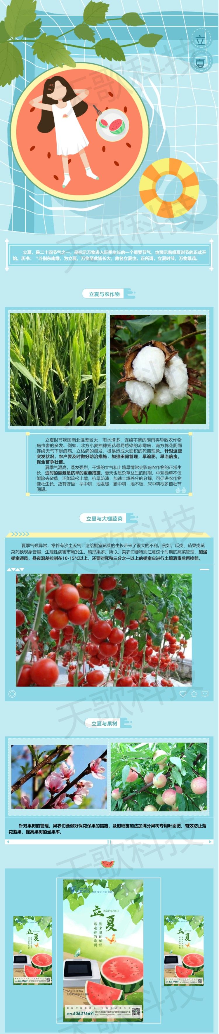 立夏_送走春的希冀，迎來夏的燦爛.jpg
