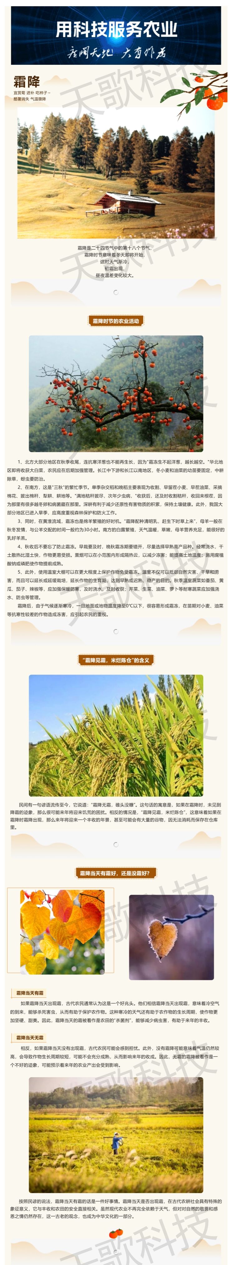 今日霜降：“霜降見霜，米爛陳倉”，那到底有霜好還是無霜好？.jpg