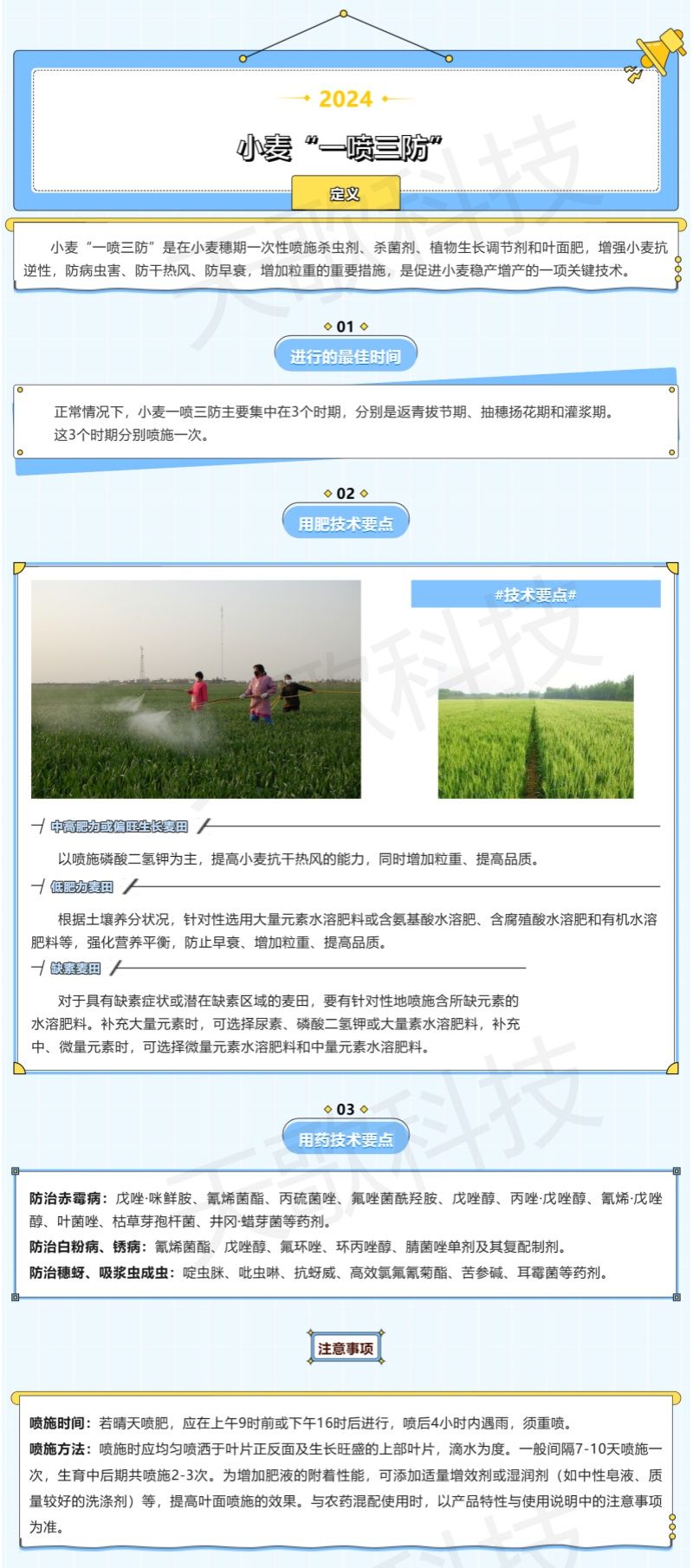 農(nóng)技分享_什么是小麥“一噴三防”？技術(shù)要點(diǎn)都有哪些？-加水印.jpg